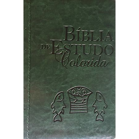 Bíblia De Estudo Colorida Letra Grande NVI | Livraria 100% Cristão ...